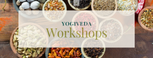 Ayurveda Kochkurs & Workshop