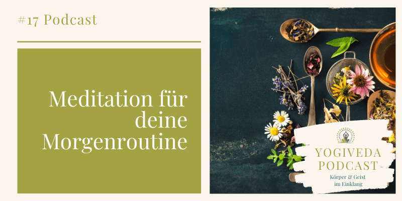 Folge 17 - Yogiveda Podcast