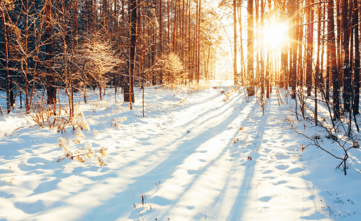 Der Winter aus ayurvedischer Sicht