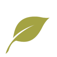 vegane optionen icon vegane optionen icon