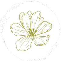 Grundprinzipien der ayurvedischen Lehre, Modul 1 der Ayurveda Ausbildung