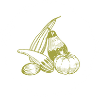 Modul 3 der ayurveda Ausbildung für Yogalehrerinnen: die ayurvedische ernährung