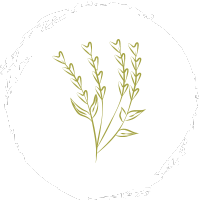 Heilpflanzenkunde und Reinigungskuren in Modul 5 der Ayurveda Ausbildung